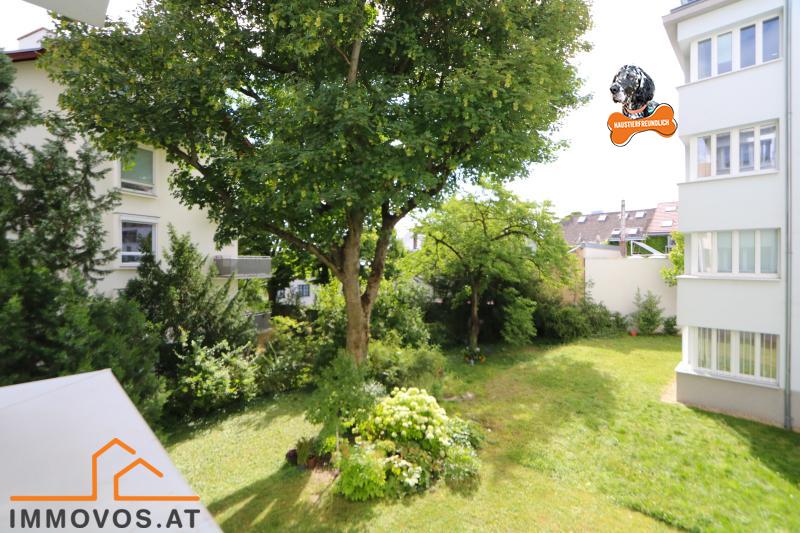 Ausblick von der Veranda in den Garten