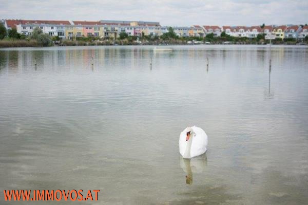 3 ZI- MIETWOHNUNG IM DACHGESCHOSS MIT STELLPLATZ AM SEEPARK IN VÖSENDORF!