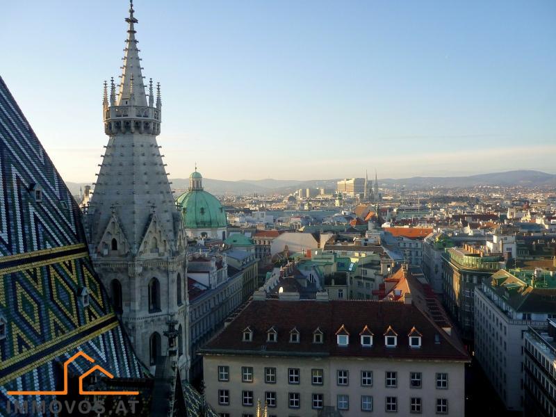 vienna-228943_1920.jpg